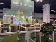 L’APDCAT apropa a petits i grans la importància de preservar la privacitat a través del Festival de la Infància