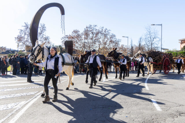 Cerdanyola_del_Valles_celebra_els_Tres_Tombs_amb_una_amplia_oferta_dactivitats_tradicionals.jpg