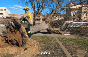 Protecció Civil desactiva l’alerta del pla Ventcat després de donar per acabades les incidències per l’episodi de vent