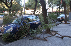 La majoria d’universitats informen de normalitat sense incidents rellevants als seus campus tot i les ventades