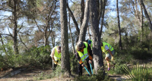Llançament de les Primeres Taules de Voluntariat Ambiental a la Xarxa de Parcs Naturals