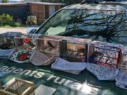 Caça il·legal al Vallès Occidental: denuncien la captura d’ocells protegits amb gàbies trampa