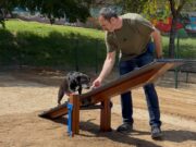 El parc de la Malesa es transforma en un espai actiu i inclusiu amb noves instal·lacions