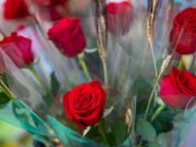 Cerdanyola celebrarà una Diada de Sant Jordi rica en cultura i participació ciutadana