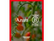 Azura s’incorpora a la comunitat global d’empreses B Corp