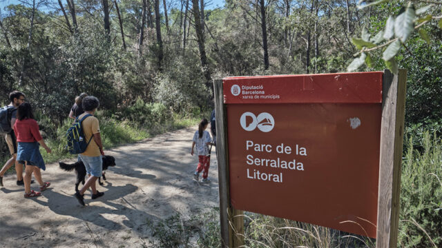 noticia_1782220538.jpg