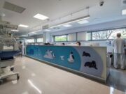 Hospital Universitari Dexeus consolida la seva àrea de Pediatria amb un equip d’alta especialització