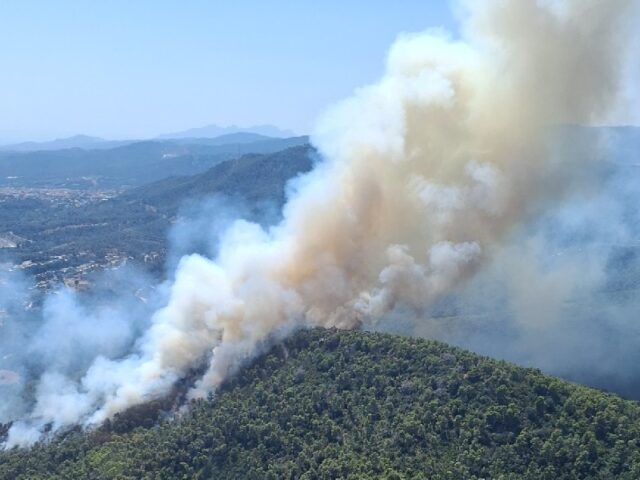 noticia_1783355503.jpg