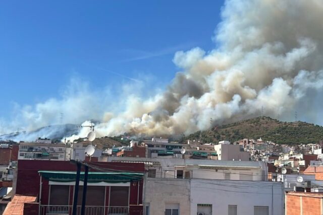 Incendi a Collserola. Foto: Dani Sirera