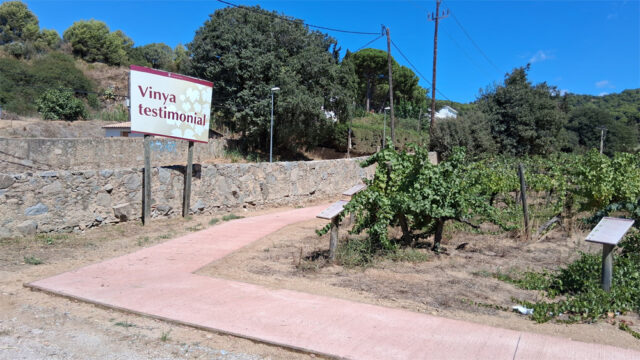 noticia_1789564580.jpg