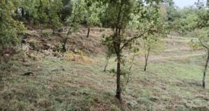 Finalitzen les actuacions de manteniment contra incendis a Montví de Baix