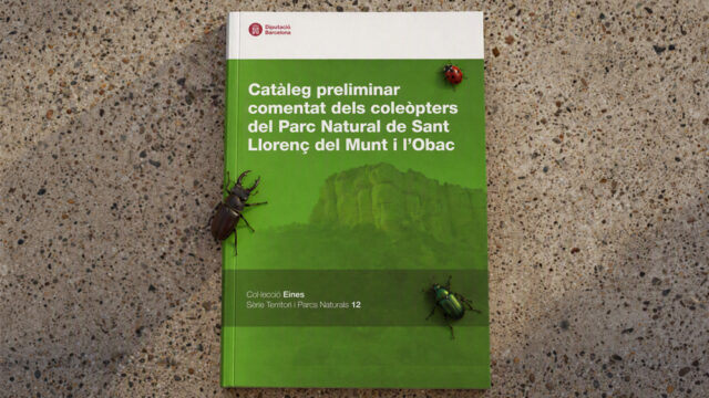 noticia_1793110509.jpg